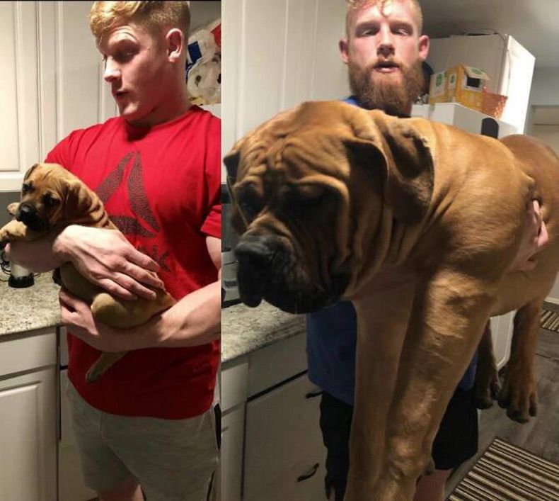 Gewoon een verzameling hilarische foto's #1611