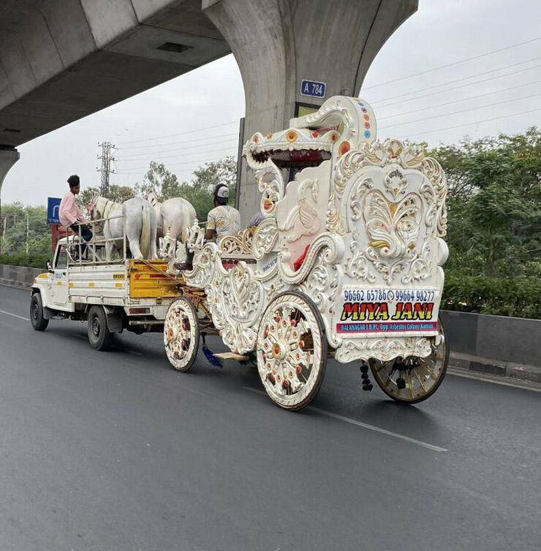 Gewoon een verzameling hilarische foto's #1611