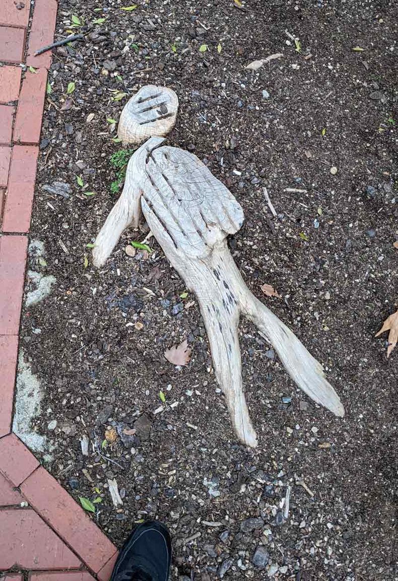 Gewoon een verzameling hilarische foto's #1611