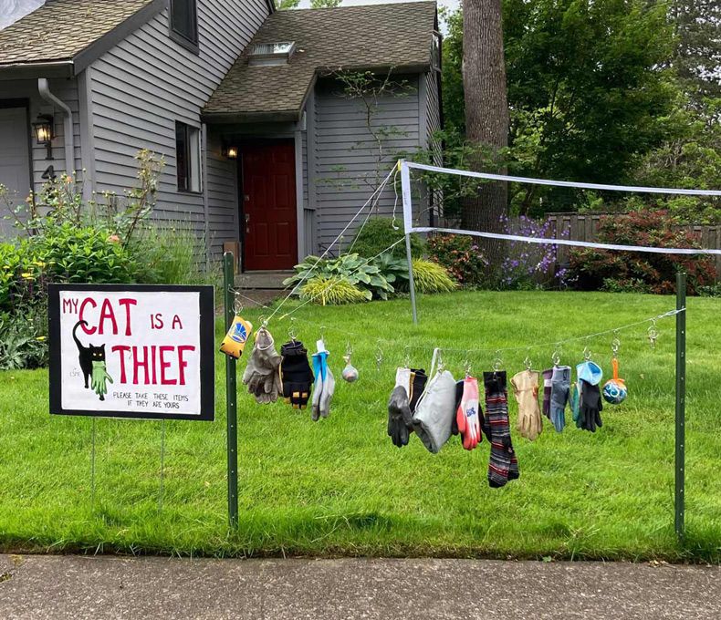 Gewoon een verzameling hilarische foto's #1611