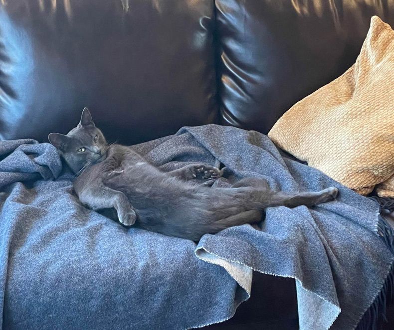 Gewoon een verzameling hilarische foto's #1611