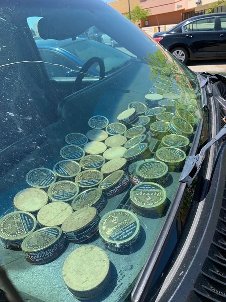 Gewoon een verzameling hilarische foto's #1611