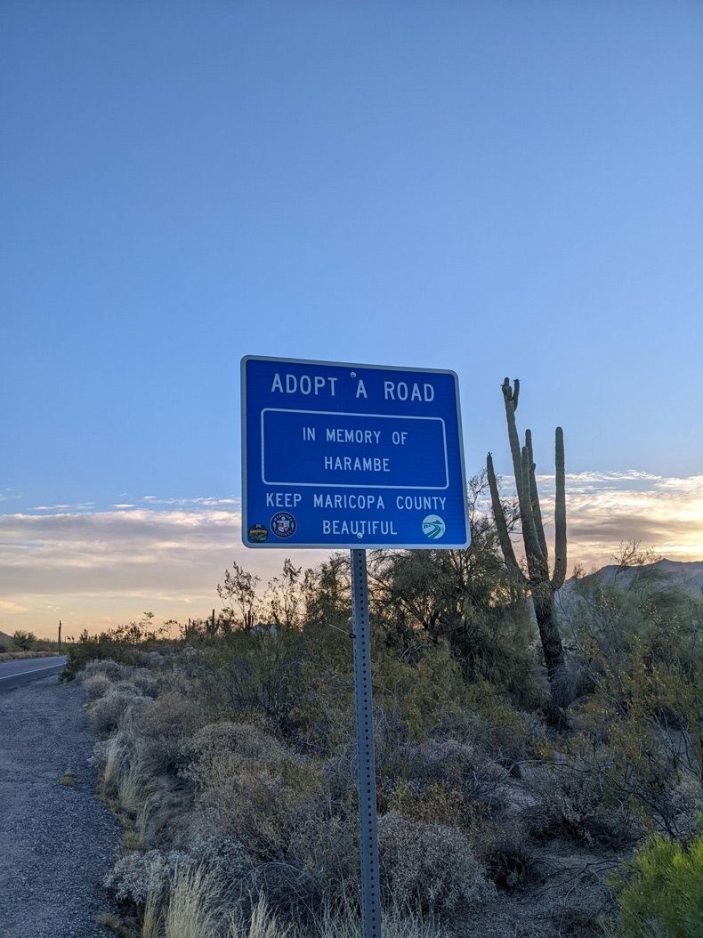 Gewoon een verzameling hilarische foto's #1611