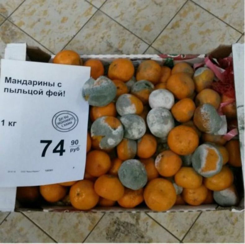 Gewoon een verzameling hilarische foto's #1612