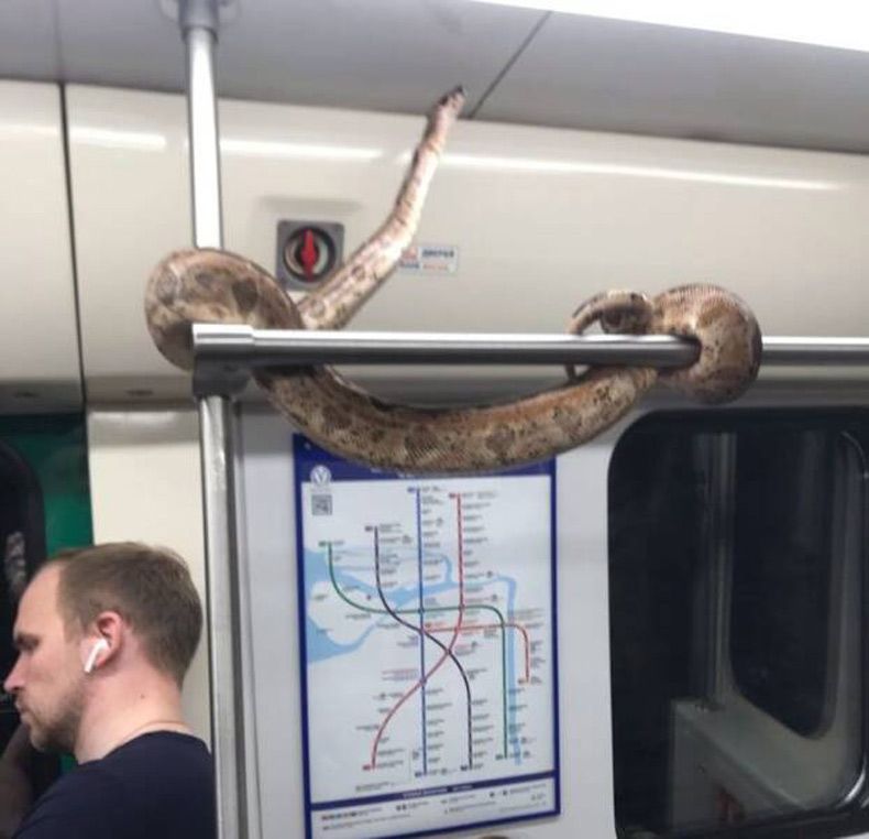 Gewoon een verzameling hilarische foto's #1612