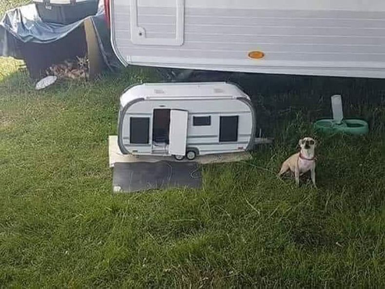 Gewoon een verzameling hilarische foto's #1612