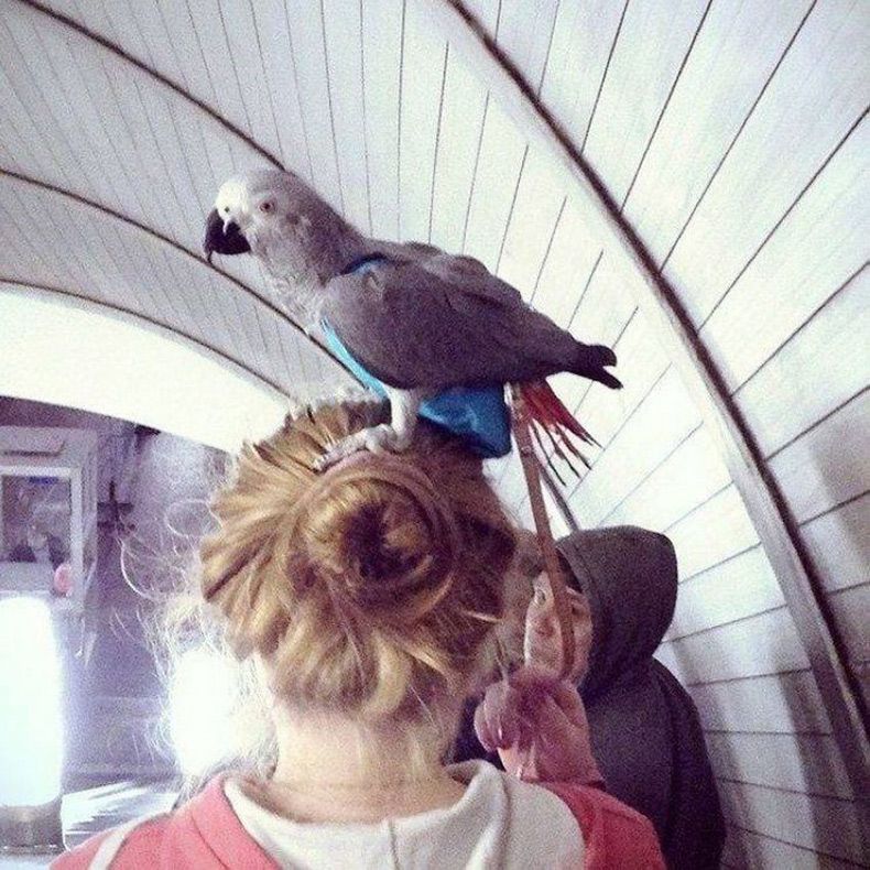 Gewoon een verzameling hilarische foto's #1614