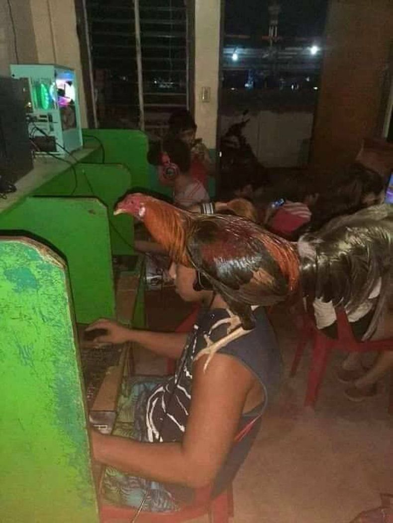 Gewoon een verzameling hilarische foto's #1614