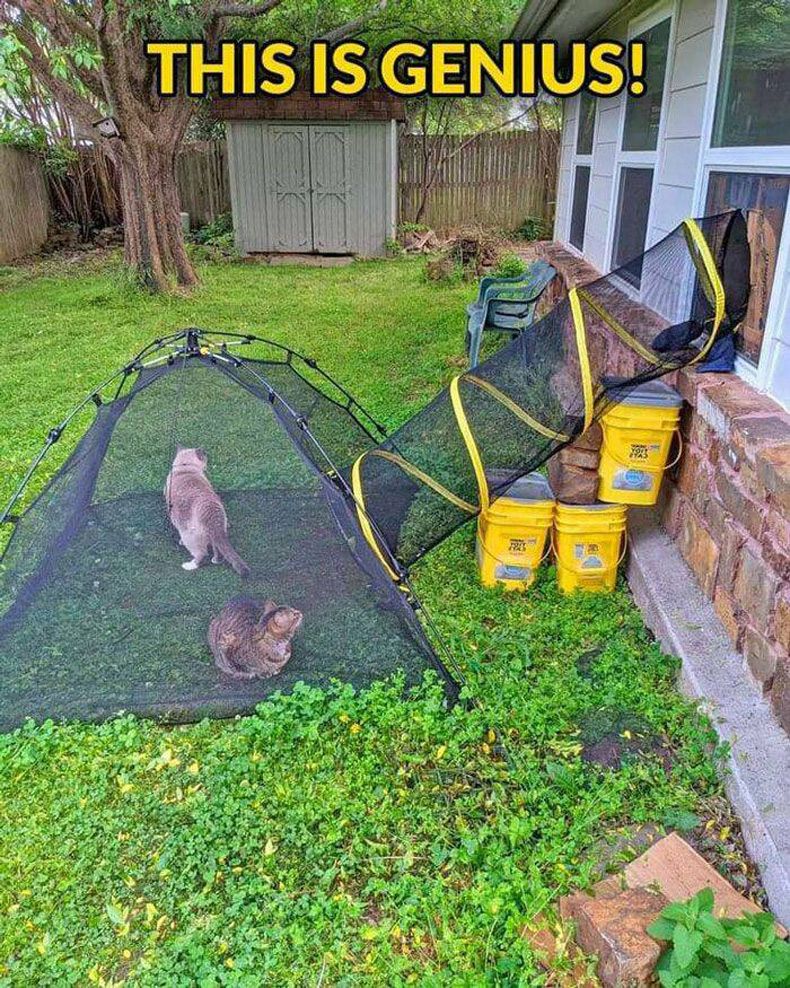 Gewoon een verzameling hilarische foto's #1614