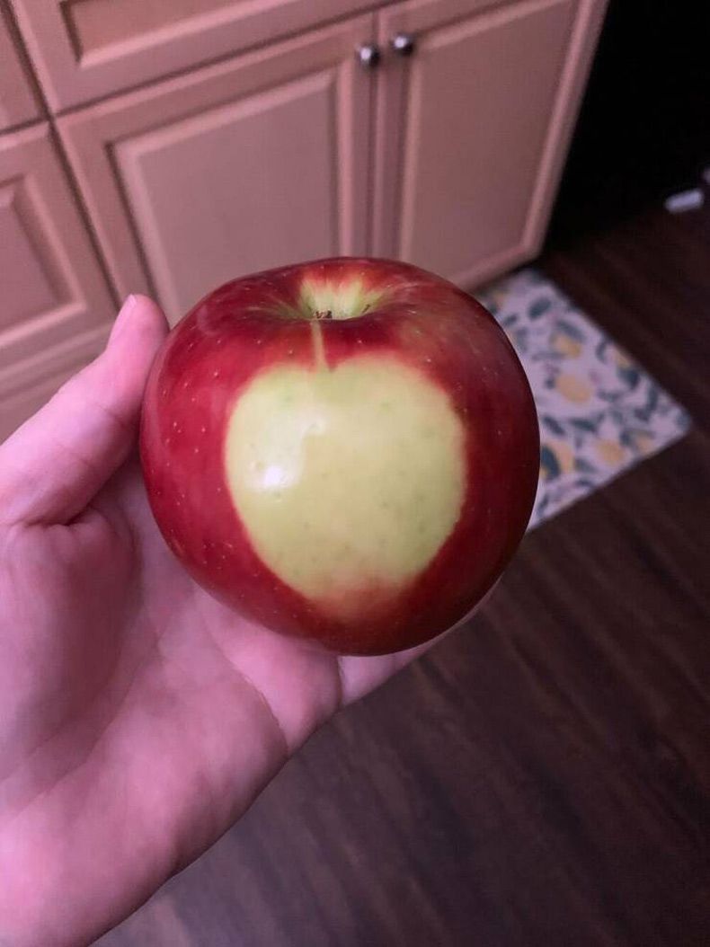 Gewoon een verzameling hilarische foto's #1614