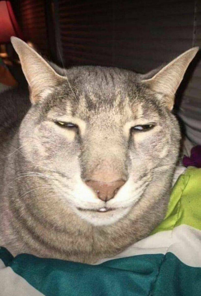 Gewoon een verzameling hilarische foto's #1614