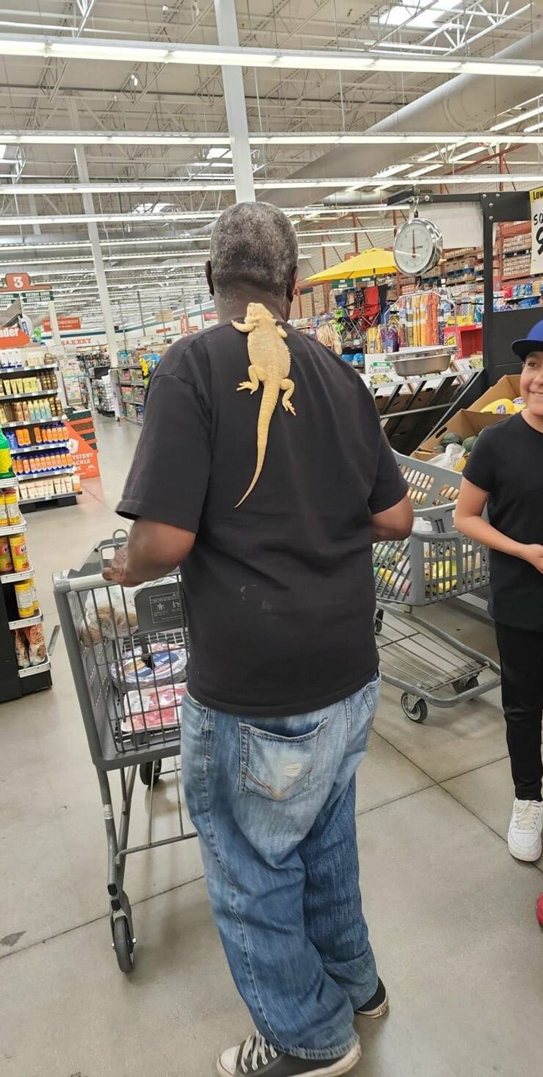 Gewoon een verzameling hilarische foto's #1614