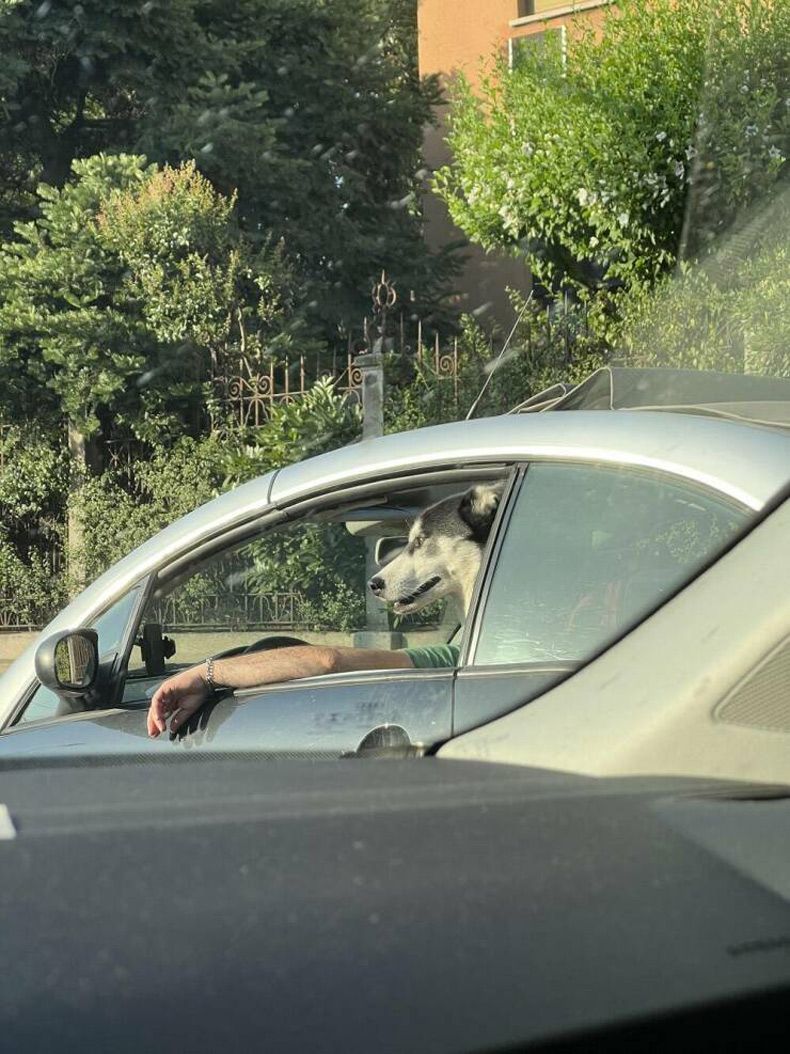 Gewoon een verzameling hilarische foto's #1614