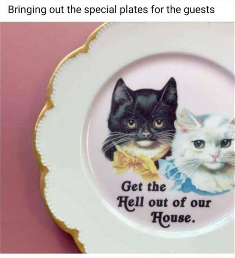 Gewoon een verzameling hilarische foto's #1614