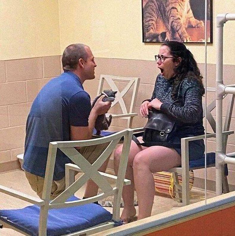 Gewoon een verzameling hilarische foto's #1614