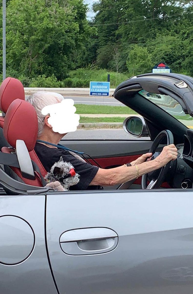 Gewoon een verzameling hilarische foto's #1614