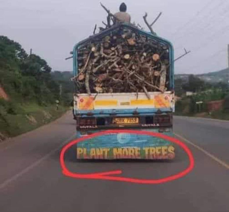 Gewoon een verzameling hilarische foto's #1614