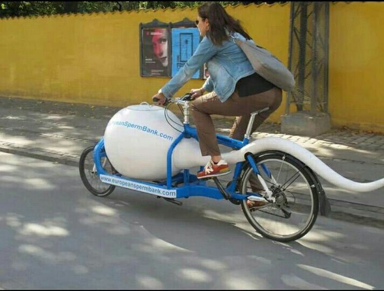 Gewoon een verzameling hilarische foto's #1614