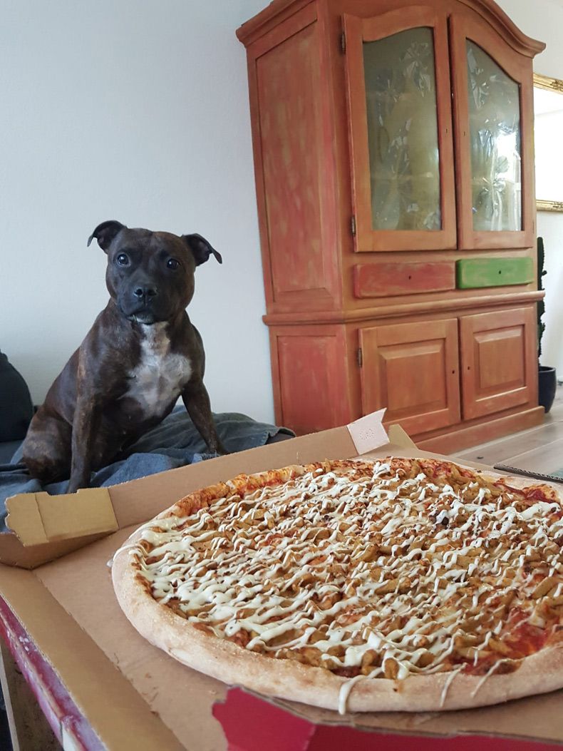 Gewoon een verzameling hilarische foto's #1614