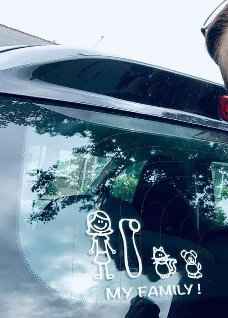 Gewoon een verzameling hilarische foto's #1614