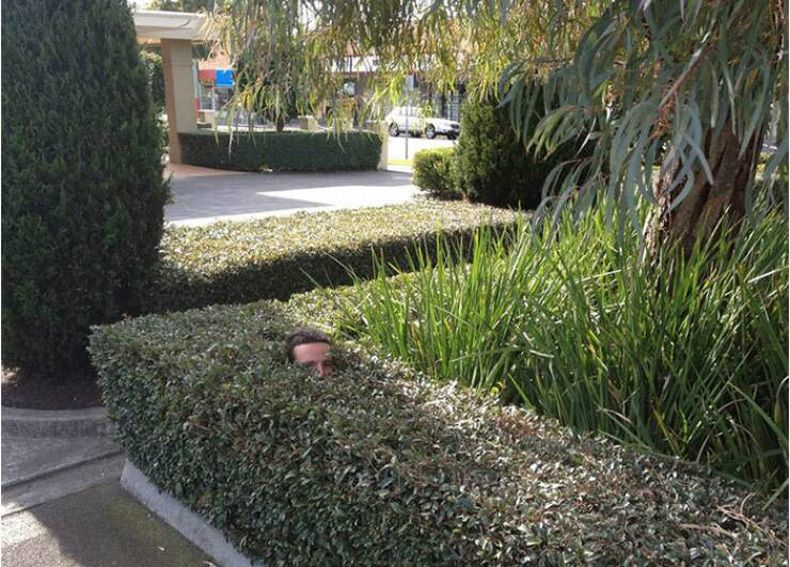 Gewoon een verzameling hilarische foto's #1618