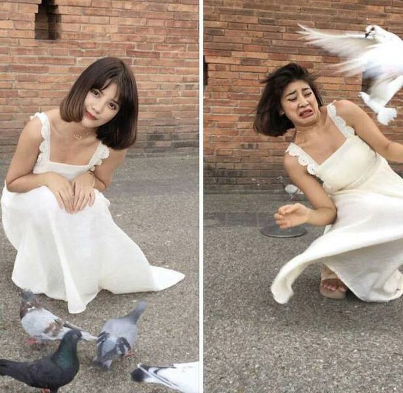 Gewoon een verzameling hilarische foto's #1618