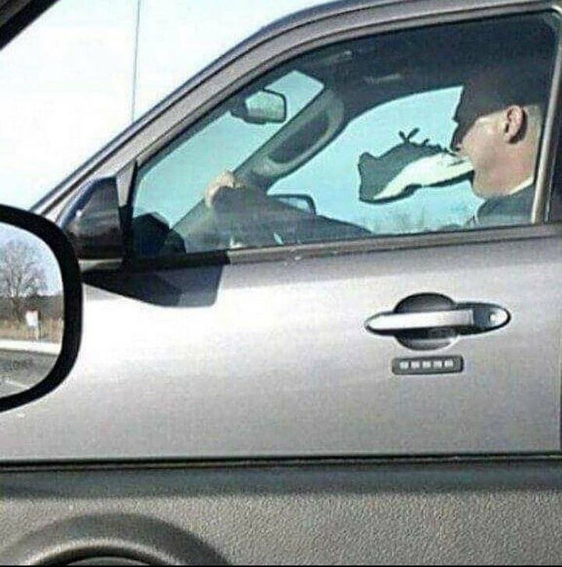 Gewoon een verzameling hilarische foto's #1619