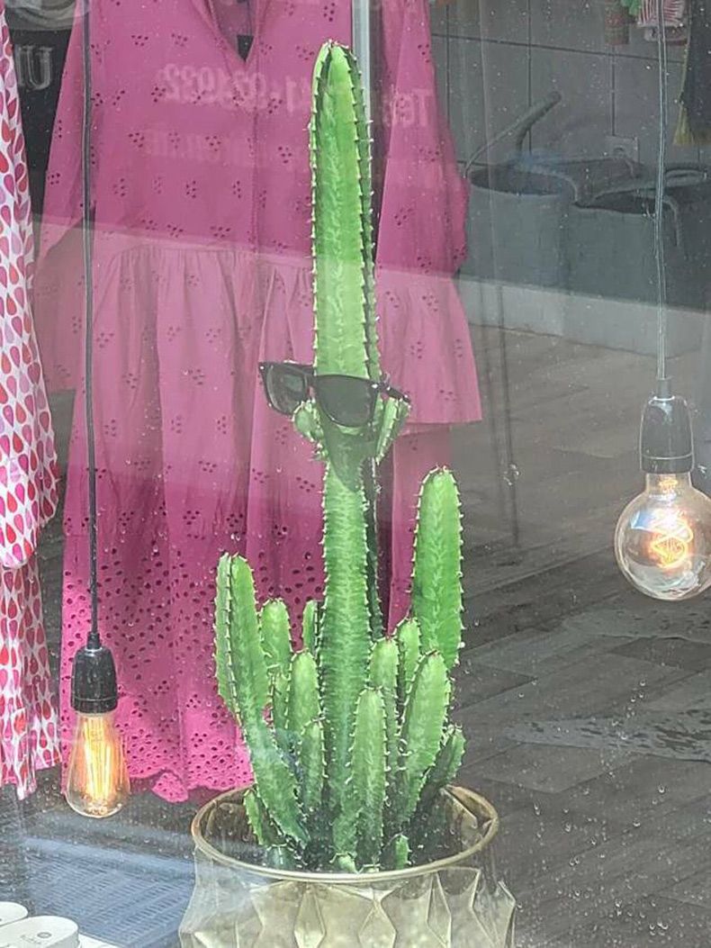 Gewoon een verzameling hilarische foto's #1619