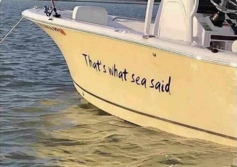 Gewoon een verzameling hilarische foto's #1621