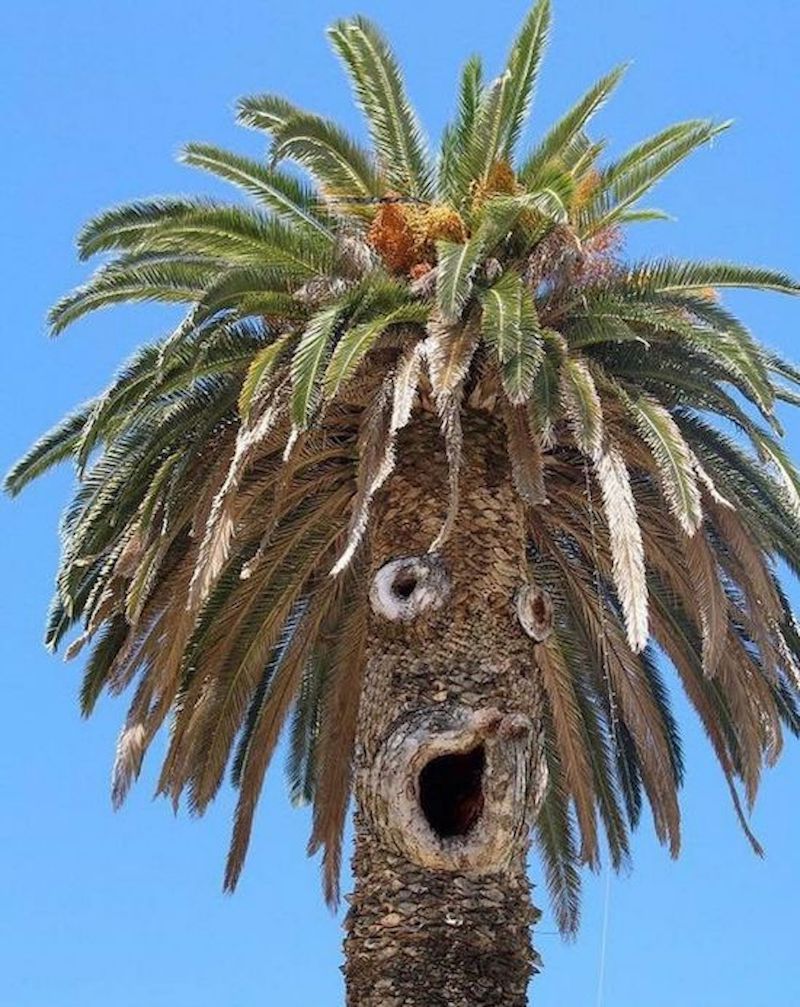 Gewoon een verzameling hilarische foto's #1621