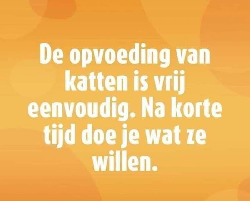Gewoon een verzameling hilarische foto's #1623
