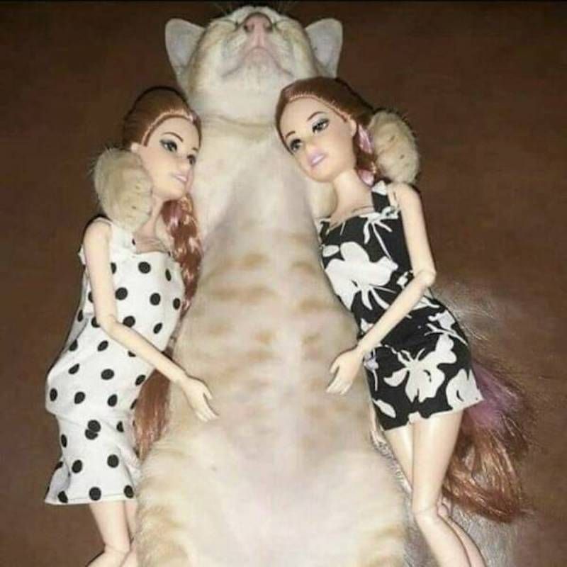 Gewoon een verzameling hilarische foto's #1623