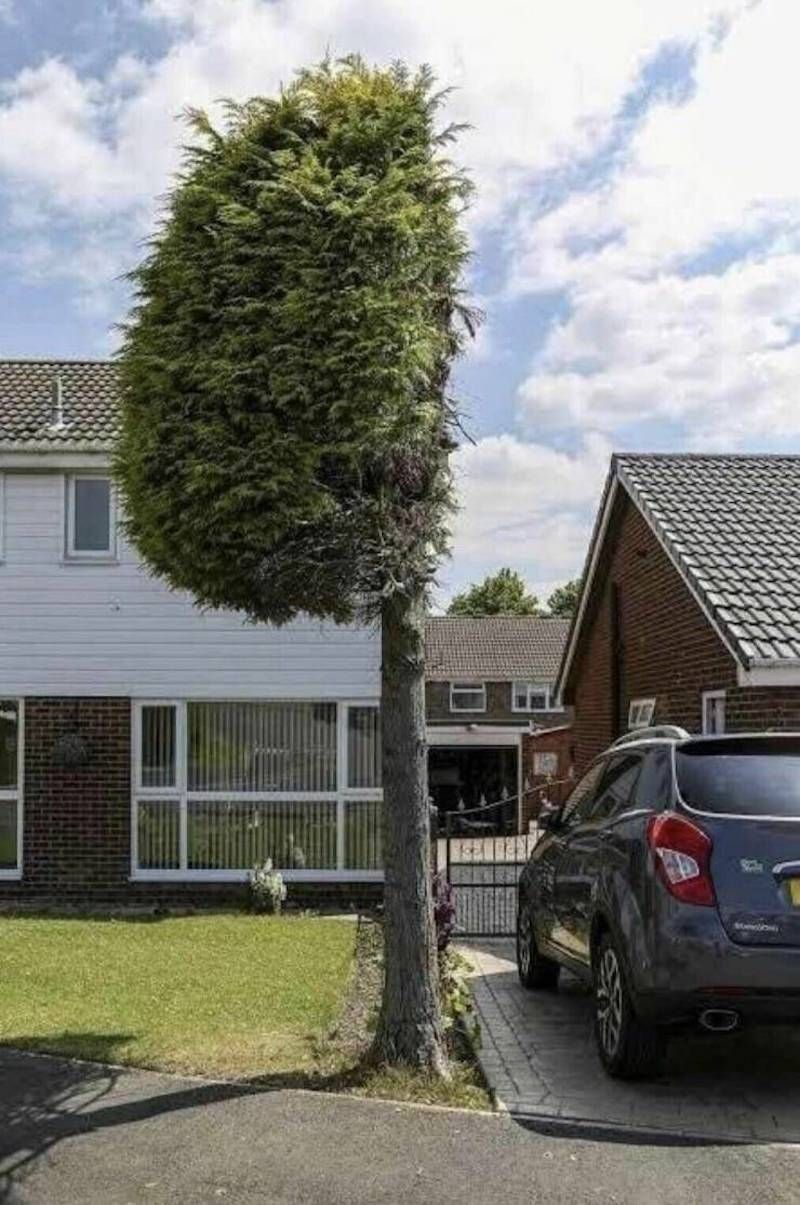 Gewoon een verzameling hilarische foto's #1623