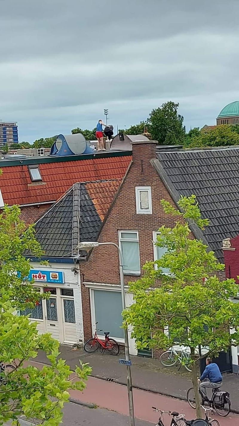 Gewoon een verzameling hilarische foto's #1623