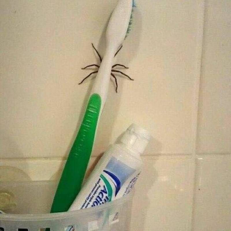 Gewoon een verzameling hilarische foto's #1623