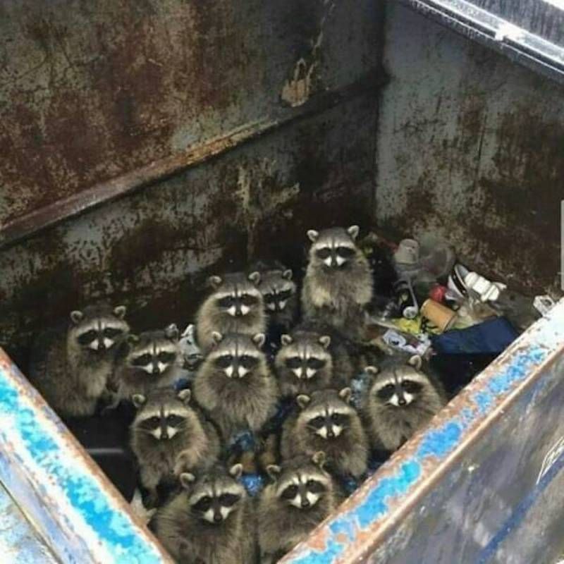 Gewoon een verzameling hilarische foto's #1623
