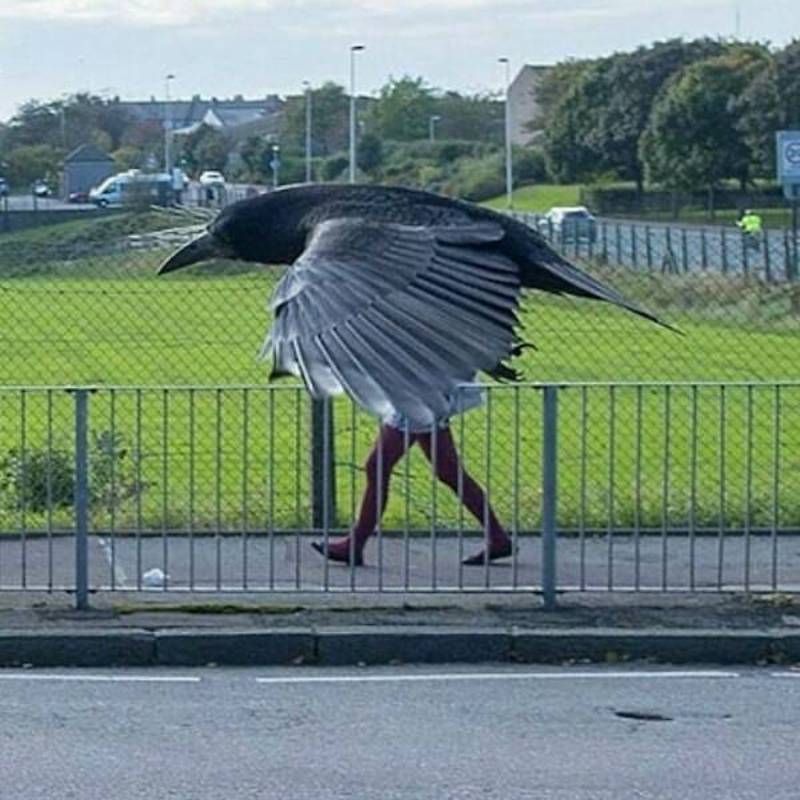 Gewoon een verzameling hilarische foto's #1623