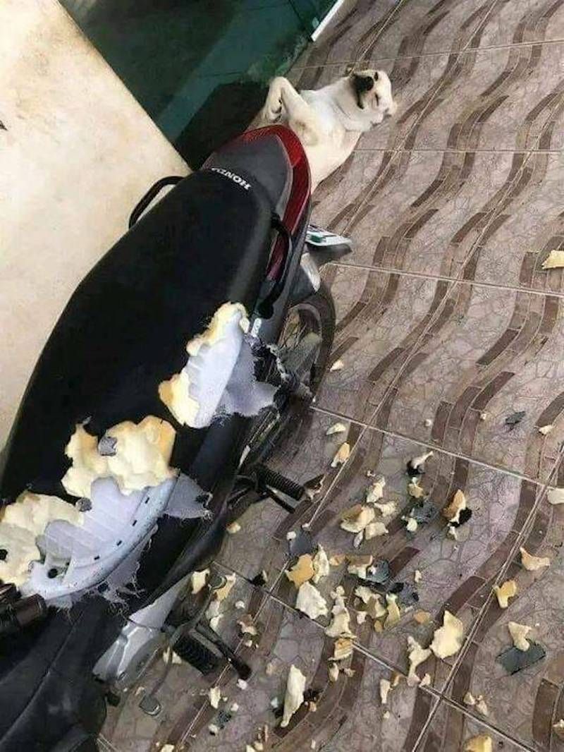 Gewoon een verzameling hilarische foto's #1623