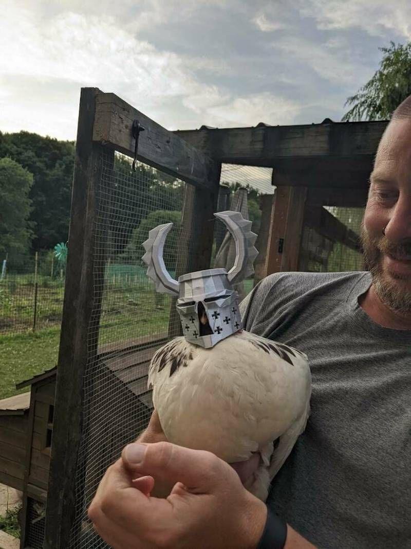 Gewoon een verzameling hilarische foto's #1623