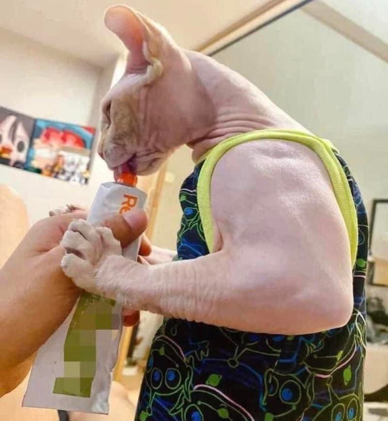 Gewoon een verzameling hilarische foto's #1627