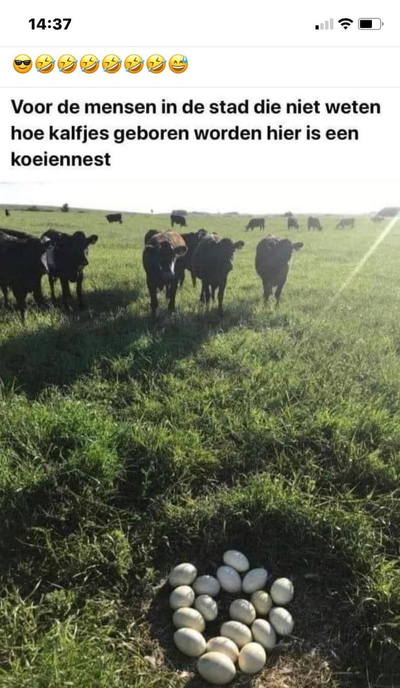 Gewoon een verzameling hilarische foto's #1627