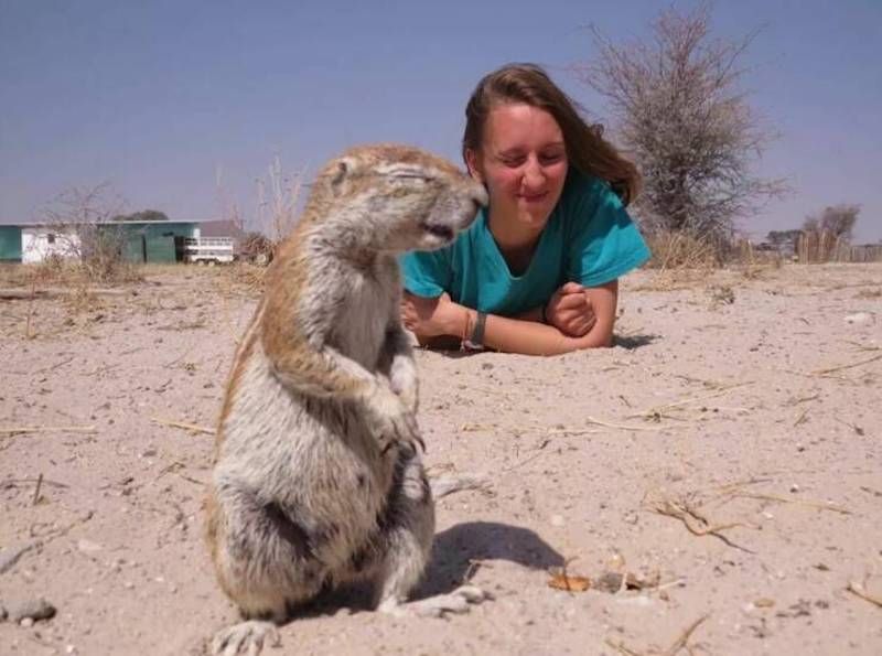 Gewoon een verzameling hilarische foto's #1627