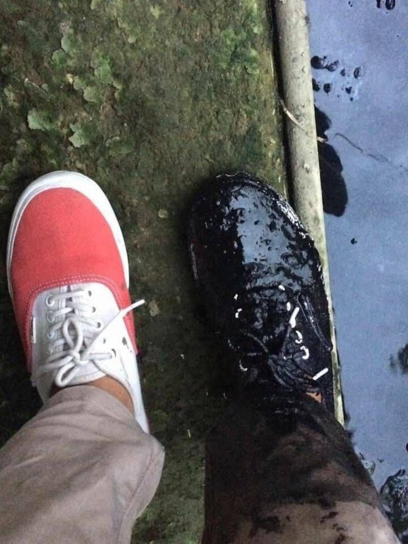 Gewoon een verzameling hilarische foto's #1627