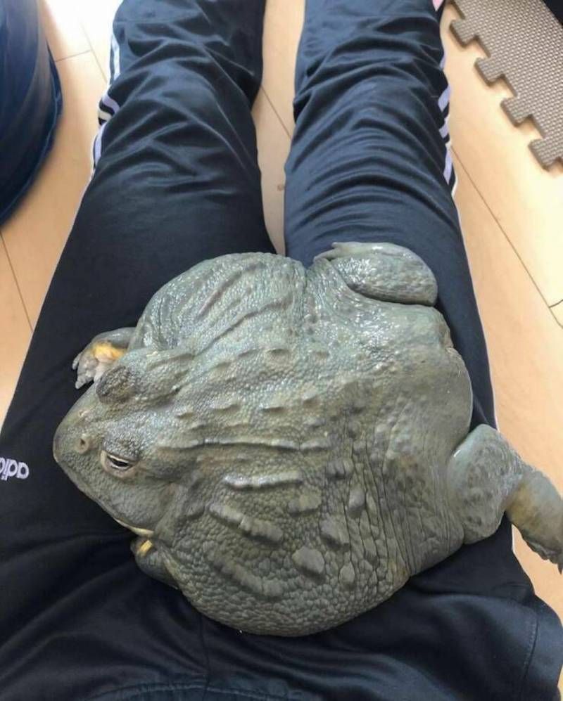 Gewoon een verzameling hilarische foto's #1627