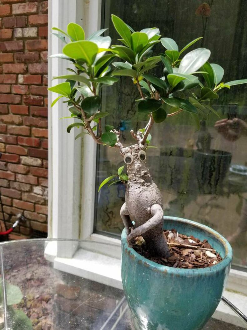 Gewoon een verzameling hilarische foto's #1628