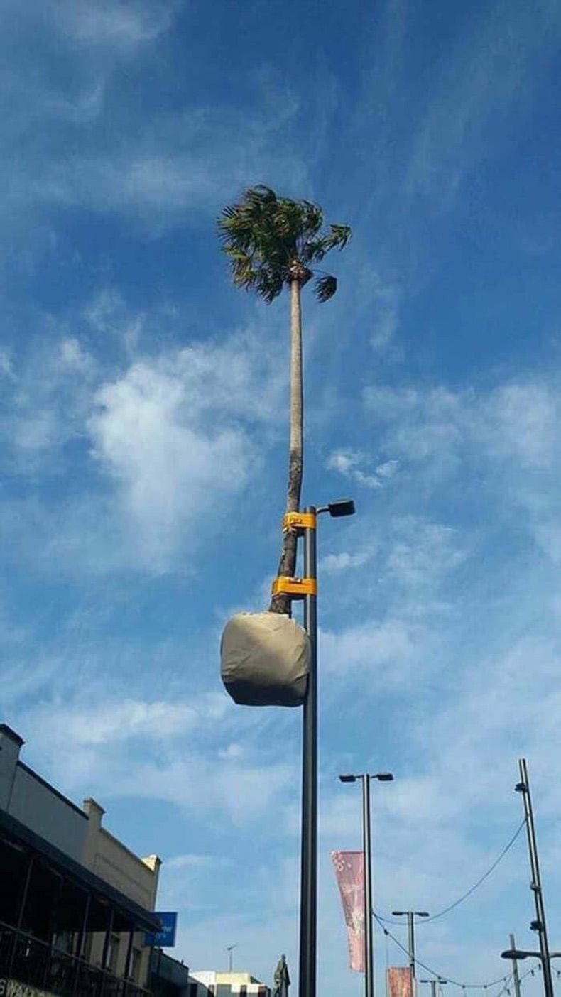 Gewoon een verzameling hilarische foto's #1628