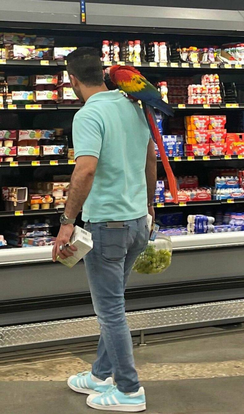 Gewoon een verzameling hilarische foto's #1628