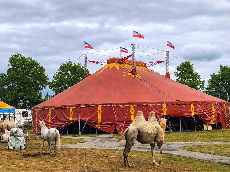 Gewoon een verzameling hilarische foto's #1628