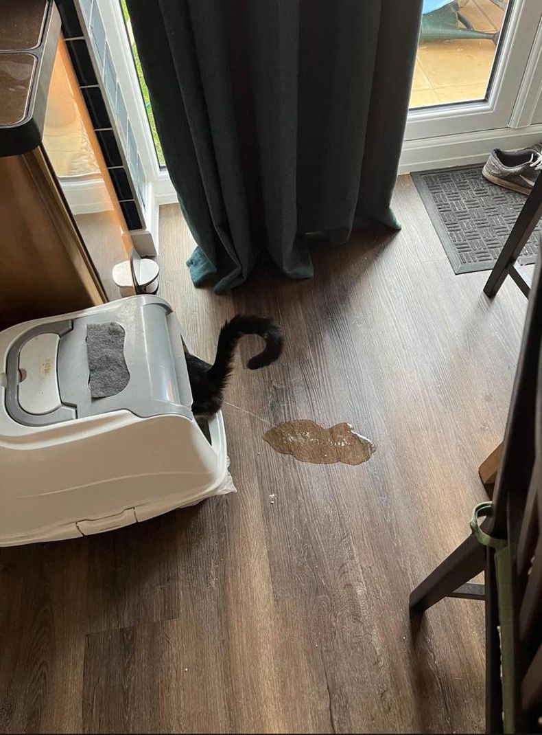 Gewoon een verzameling hilarische foto's #1628