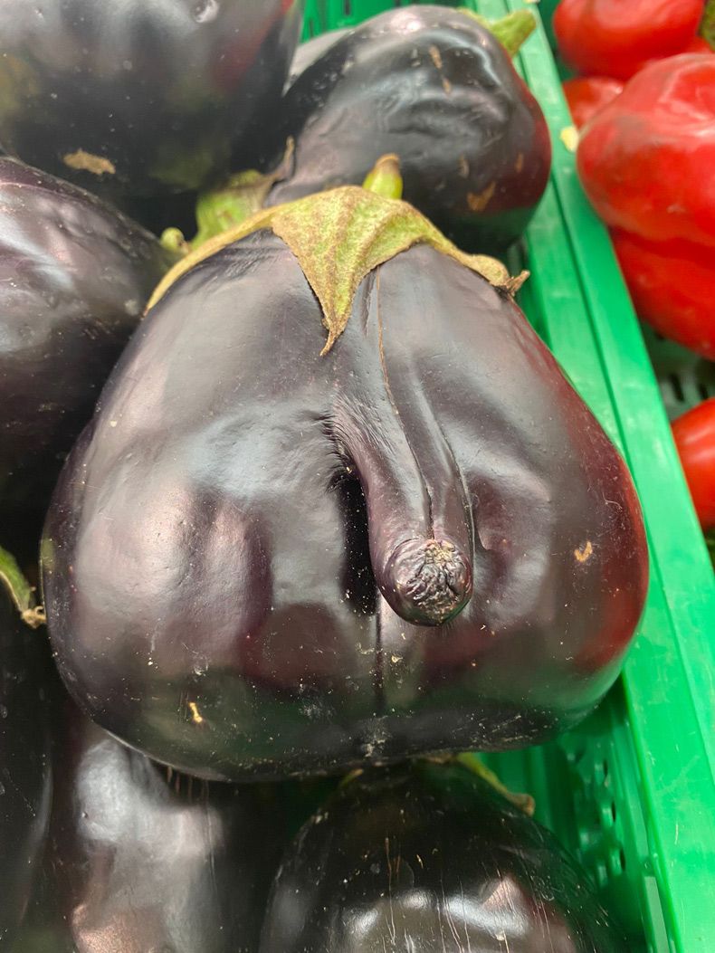 Gewoon een verzameling hilarische foto's #1628